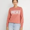 Diesel Prix Avantageux ECOLOGO - Sweatshirt pulls et gilets col rond femme