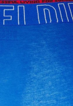 Diesel qualité absolue 3 PACK - Shorty sous-vêtements & chaussettes normale homme -Boutique France Diesel 6f6ed53e65234de2961fa02906452b65