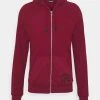 Diesel excellente qualité BRIANZ - Sweat à capuche zippé pulls et gilets homme
